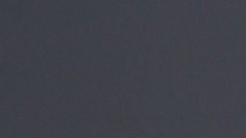 Adamari López cumpleaños Toni Costa