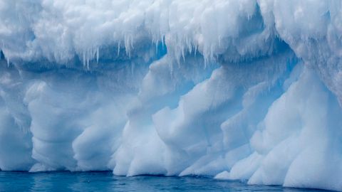 Robot halla extrañas formas en el fondo del hielo antártico