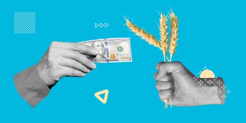 Aumento cupones de alimentos SNAP