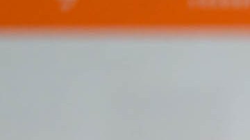 De acuerdo con Bright Star, la institución lleva a los estudiantes por toda la ciudad, el estado y el país para que puedan ver las diferentes posibilidades para sus vidas.