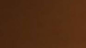 Diputada Blanca Alcala