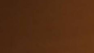 Diputada Blanca Alcala