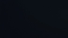 Bull market y Bear Market