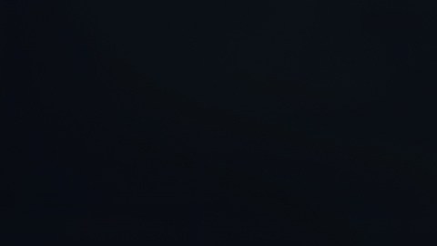 Bull market y Bear Market