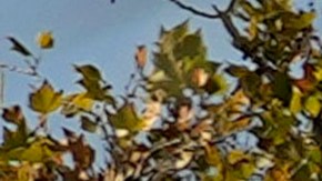 Se registró una marcada caída en las entradas de inmigrantes indocumentados a los EE.UU. en julio.