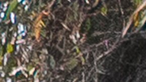 A homeless encampment sits set up next to an off-ramp to the CA-105 freeway Friday, July 26, 2024, in Los Angeles. (AP Photo/Damian Dovarganes)