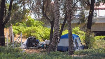 A homeless encampment sits set up next to an off-ramp to the CA-105 freeway Friday, July 26, 2024, in Los Angeles. (AP Photo/Damian Dovarganes)