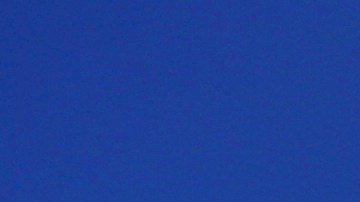 This Tuesday, March 12, 2019 photo shows the University of Southern California in Los Angeles. USC is one of many colleges and companies moving swiftly to distance themselves from employees swept up in a nationwide college admissions scheme, many charged with taking bribes and others from well-to-do and celebrity parents accused of angling to get their children into top schools. By Wednesday, March 13, USC had fired senior associate athletic director Donna Heinel and water polo coach Jovan Vavic. USC's interim President Wanda Austin said about a half-dozen current applicants affiliated with Singer's firm will be barred from admission. (AP Photo/Reed Saxon)may be connected to the scheme alleged by the government. (AP Photo/Reed Saxon)