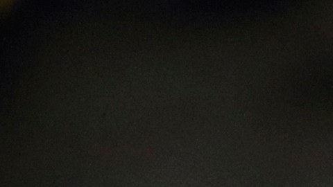 Familia de Ohio recibirá $7 millones por la muerte a tiros policiales de un joven de 23 años