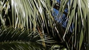 In this June 27, 2019, photo, a sign adorns an historic wagon along the old Route 66 in Needles, Calif. The small desert town bordering Arizona and near the Nevada state line recently labeled itself a "2nd Amendment Sanctuary City." (AP Photo/John Locher)