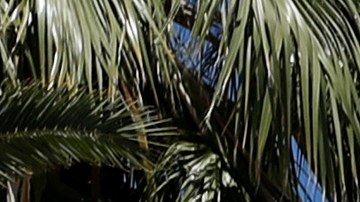 In this June 27, 2019, photo, a sign adorns an historic wagon along the old Route 66 in Needles, Calif. The small desert town bordering Arizona and near the Nevada state line recently labeled itself a "2nd Amendment Sanctuary City." (AP Photo/John Locher)