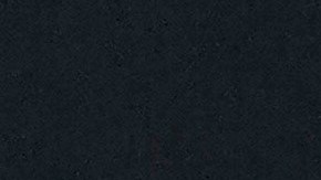 Claudia Sheinbaum invita a Vladimir Putin para ceremonia de su investidura presidencial