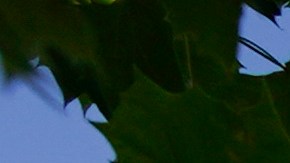 La policía inició una investigación sobre posibles cargos criminales los propietarios anteriores de Pulse, hace más de un año.