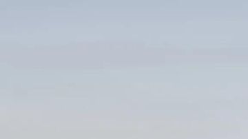 Confirman importante noticia sobre el Volkswagen Golf VIII