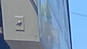 Trabajadores marchan y protestan en Cupress Park.