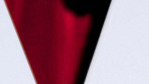 Dakota Johnson Chris Martin separación