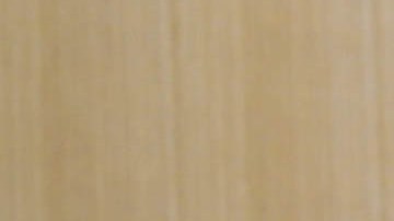 Dave Cortese, senador demócrata por California