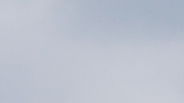 Delta Airlines se disculpó con los viajeros por el retraso.