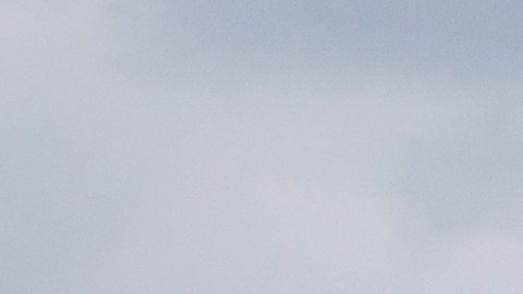 Delta Airlines se disculpó con los viajeros por el retraso.