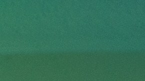 Detectan casos de "oropuche" en Europa: de qué se trata