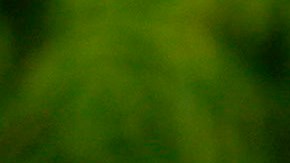 Club de golf de Trump tendrá gala para recoger fondos para acusados de asalto a Capitolio