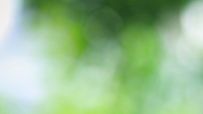 El consumo moderado de alcohol perjudica la salud de los adultos mayores