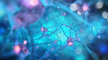 El parkinson podría controlarse con marcapasos cerebrales autoajustables