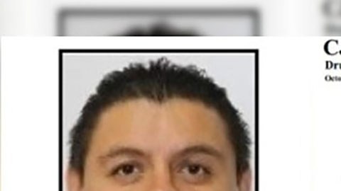 Estructura del CJNG