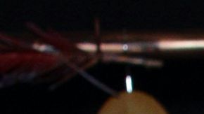 novia Juan Osorio Niurka