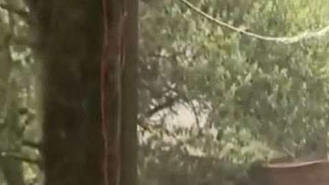 Feminicidio en México