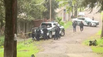 Feminicidio en México