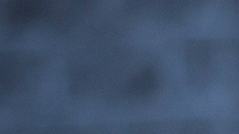 La policía no ha confirmado si algún sospechoso ha sido detenido en relación con el tiroteo en Florida.