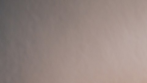 Fracasa otra prueba diagnóstica del Covid prolongado