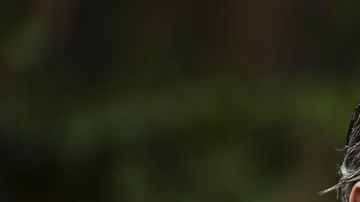 Gavin Newsom, gobernador de California