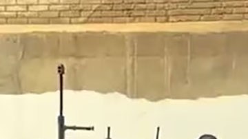 Grupo Flecha del Mayo Zambada