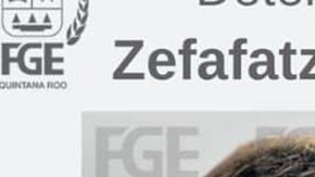 Hombre arrojó a cachorro desde edificio