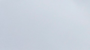 Tormenta “Debby” arrastra cocaína valorada en más de un millón a playa de Florida