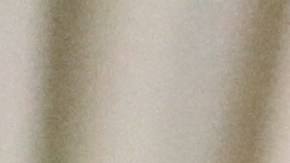 Naomi Cruz, Noé López, Rafael Vásquez y William Pérez describieron la cruda realidad de discriminación y racismo en contra de las comunidades indígenas en Los Angeles.