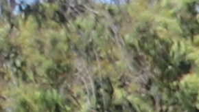 Los estudiantes de escuelas chárter aspiran a ir a la universidad.