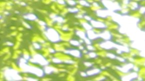 Ciudadanos mexicanos con el reporte "Pagar la deuda: El caso para extender la “Pensión Bienestar” a adultos mayores mexicanos que viven en EE.UU."