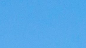 El forense del condado de Ada, Idaho, dictaminó que el niño murió ahogado y que su muerte fue accidental.