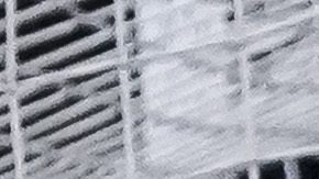 Federico Viñas durante su etapa como jugador de América.