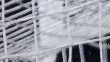 Federico Viñas durante su etapa como jugador de América.