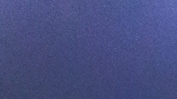 Luis Fernando Tena, estratega mexicano.