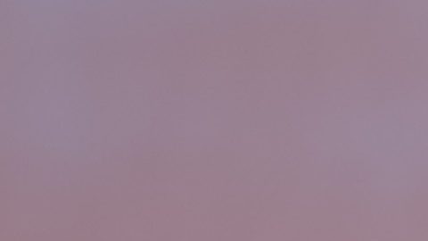 Miguel Herrera, estratega mexicano.