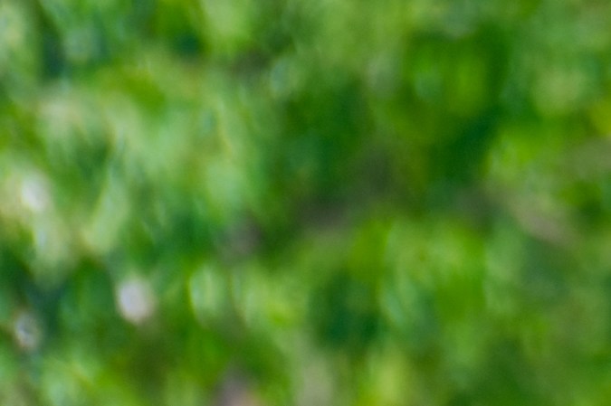 Ciudad de México, 10 de abril de 2024. , durante un entrenamiento de los Pumas de la UNAM previo al partido de la jornada 16 del torneo Clausura 2024 de la Liga BBVA MX frente a las Águilas del América, celebrado en La Cantera. Foto: Imago7 / Diego Padilla