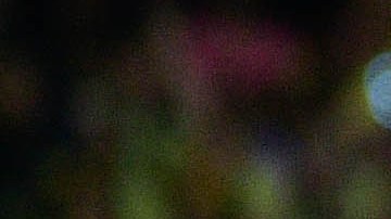 Ciudad de México, 26 de mayo de 2024. , durante el partido de vuelta de la final del torneo Clausura 2024 de la Liga BBVA MX, entre las Águilas del América y la Máquina Celeste del Cruz Azul, celebrado en el Estadio Azteca. Foto: Imago7/Pablo Ramírez