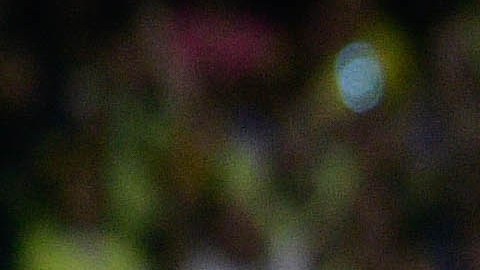 Ciudad de México, 26 de mayo de 2024. , durante el partido de vuelta de la final del torneo Clausura 2024 de la Liga BBVA MX, entre las Águilas del América y la Máquina Celeste del Cruz Azul, celebrado en el Estadio Azteca. Foto: Imago7/Pablo Ramírez