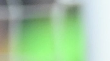 Luis Quiñones junto a Gignac.