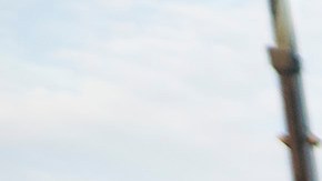 an Diego, California, Estados Unidos, 9 de agosto de 2024. Foto de equipo de América, durante el partido de 16vos de Final de la Leagues Cup 2024, entre las Águilas del América y los Rojinegros del Atlas, celebrado en el Snapdragon Stadium. Foto: Imago7/ Alejandro Gutiérrez Mora